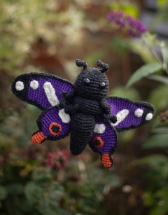 Angelo the Purple Emperor Butterfly
