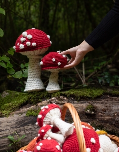 Large Toadstool Bundle