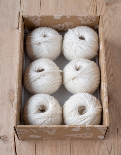 Baby Polar Bear Discovery Box