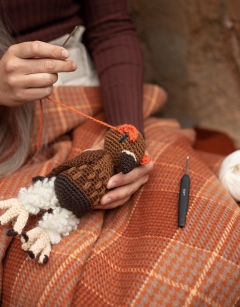 Dudley the Red Grouse