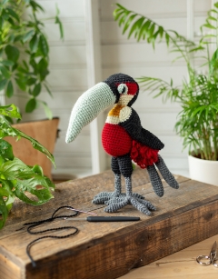 Gillian the Red-Breasted Toucan