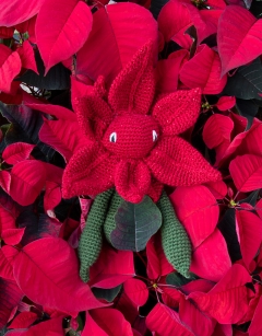 Xmas Floral Bundle