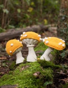 Button Toadstool