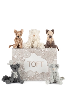 Kittens Discovery Box