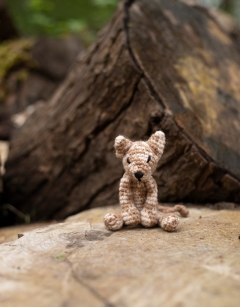 Kittens Discovery Box