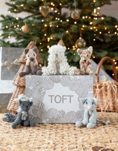 Kittens Discovery Box