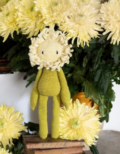 Chrysanthemum Kit