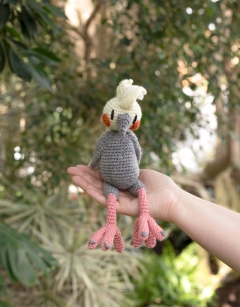 Yolanda the Cockatiel