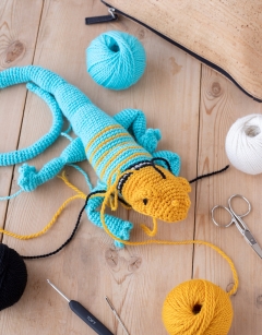 Erik the Collared Lizard