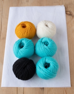 Erik the Collared Lizard