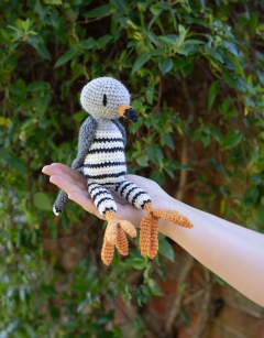 Quentin the Common Cuckoo 