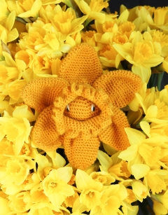 Daffodil Flower Kit