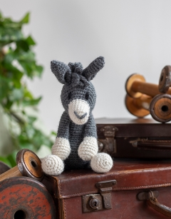 Angharad the Donkey Kit
