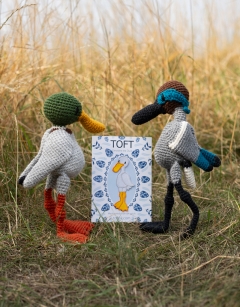 Duo of Dabbling Ducks