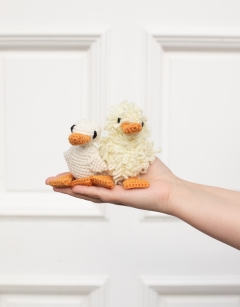 Mini Duckling Duo