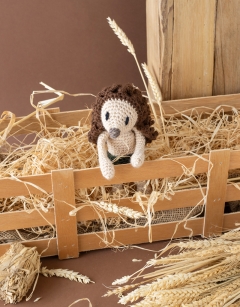 Hans my Hedgehog
