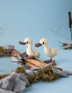 Pair of Ducklings