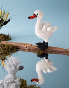 Swan