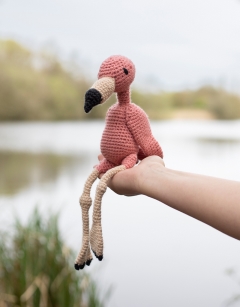 Flamingo Flamboyance