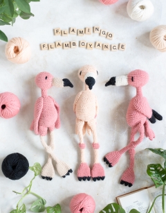 Flamingo Flamboyance