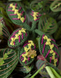 Maranta Fascinator