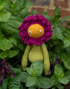 Zinnia Kit