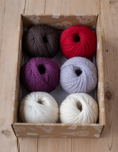 Christmas Sweets Discovery Box