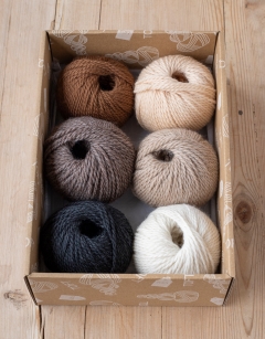 Grasslands Discovery Box