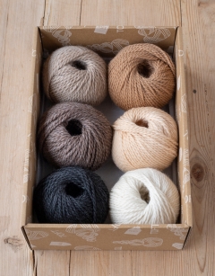 Savanna Discovery Box