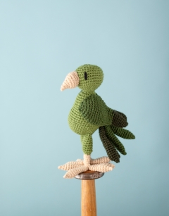 Mele the Pacific Parakeet