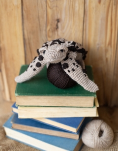 Bessie the Hawksbill Sea Turtle