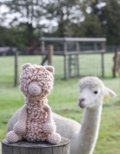 Quin the Huacaya Alpaca Kit