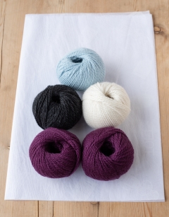 Yuto the Japanese Flycatcher