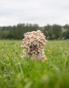 Large Seth the Wensleydale Sheep