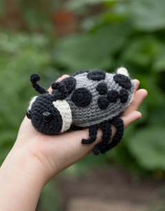 Ava the Ladybird: 15-spot