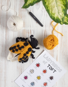 Ava the Ladybird: 22-spot