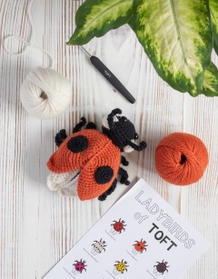 Ava the Ladybird: 2-spot