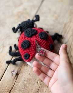Ava the Ladybird: 7-spot