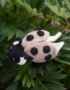 Ava the Ladybird: Ashy Gray