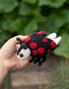 Ava the Ladybird: Black Harlequin