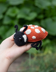 Ava the Ladybird: Orange Spotted