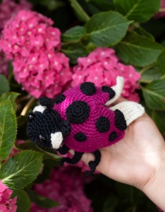 Ava the Ladybird: Pink Spotted