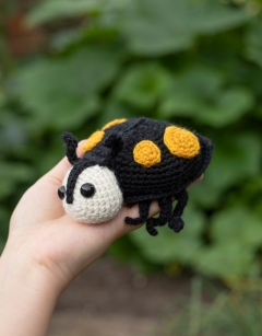 Ava the Ladybird: Yellow Harlequin