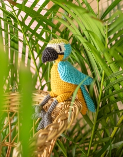 Jack the Macaw