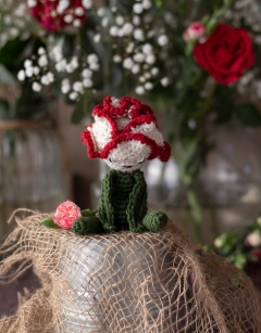 Mini Rose and Carnation Kit