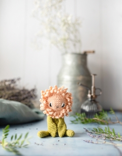 Mini Chrysanthemum Kit
