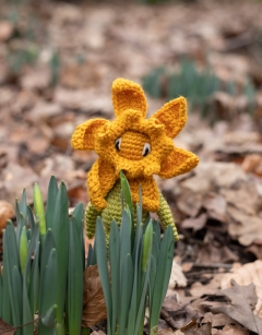 Mini Daffodil