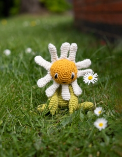 Mini Daisy