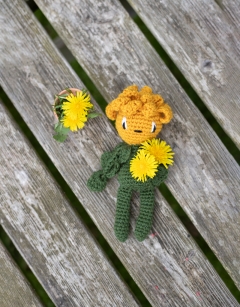 Mini Dandelion Kit