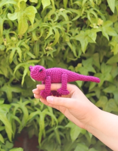Mini Roy the Gecko Kit